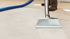 Carpet cleaning wand head gliding over a light carpet during hot-water extraction, Tempe, AZ.