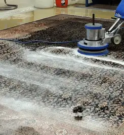 Professional rug cleaning with a rotary floor machine and shampoo foam, deep-cleaning an area rug Tempe, AZ.